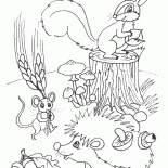 Звери делают запасы 