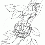 Птенцы в гнезде