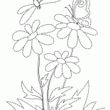 Бабочка на цветке