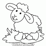 Милая овечка