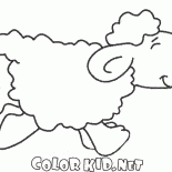 Овечка в движении