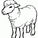 Символ 2015 года