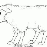 Улыбающаяся овечка
