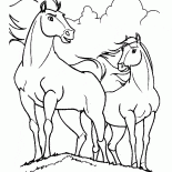 Конь Спирит