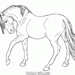 Конь идёт медленно