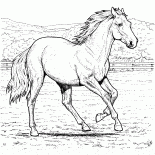 Лошадь на ферме