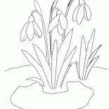 Подснежники 