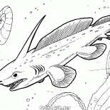 Плевракант