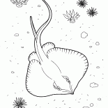 Скат на охоте