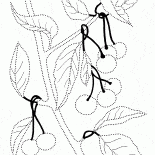 Вишня дикая