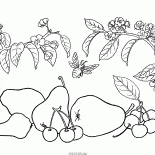 Груша и вишня