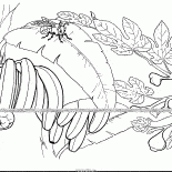 Инжир и банан