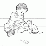 Котенок домашней кошки