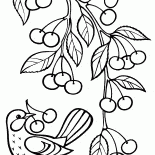 Ветка с вишнями 