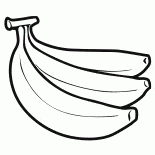 Пальмовые фрукты