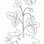 Лесная земляника