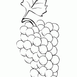 Кисть винограда