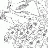 Восточный щегол