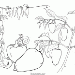 Болгарский перец