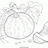 Тыква на городе