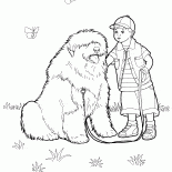 Бобтейл
