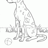 Пятнистый пёс