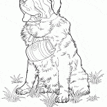 Сенбернар