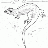 Ящерица на охоте