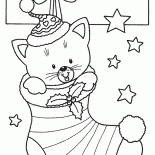 Мечты сбываются