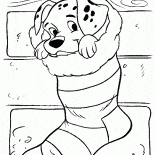 Далматинец